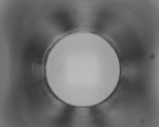 X0000097770836200803070859