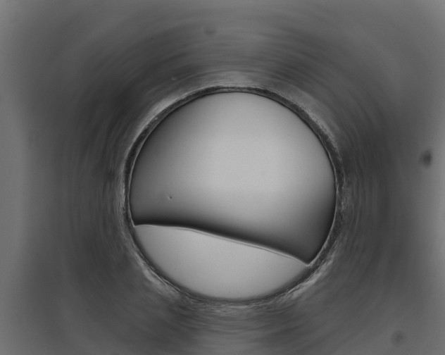 X0000097770837200803070859