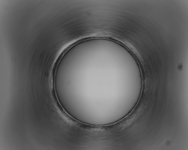 X0000097770838200803070859