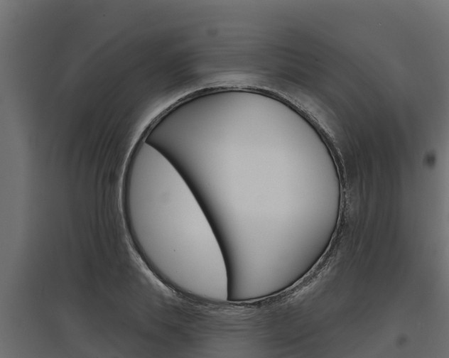 X0000097770839200803070859