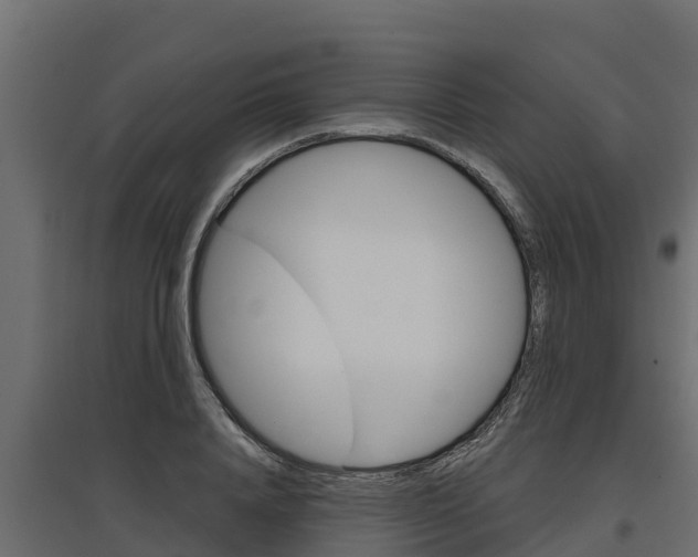 X0000097770840200803070859
