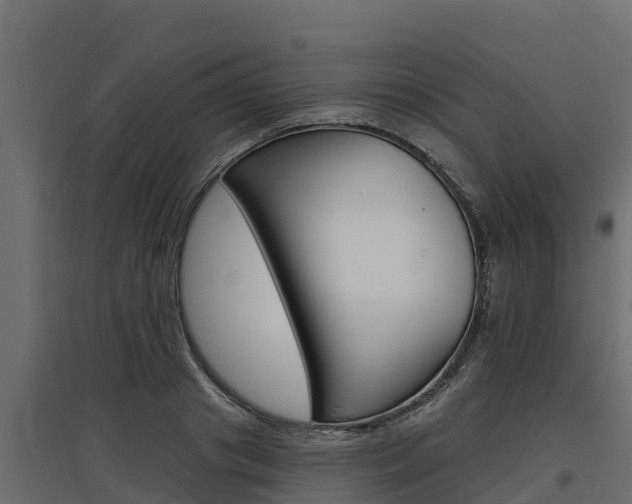 X0000097770841200803070859