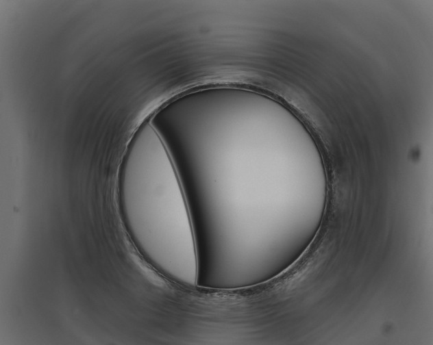 X0000097770842200803070859