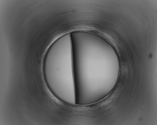 X0000097770843200803070859