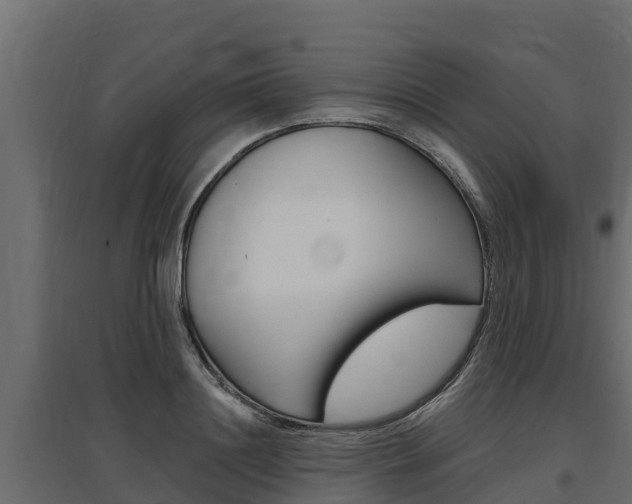 X0000097770844200803070859