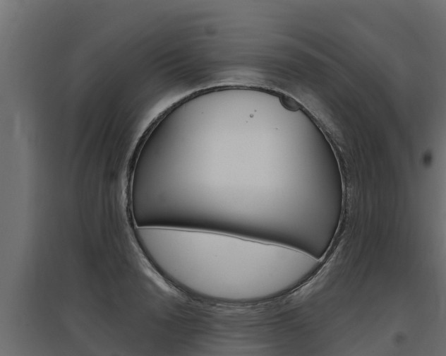 X0000097770846200803070859