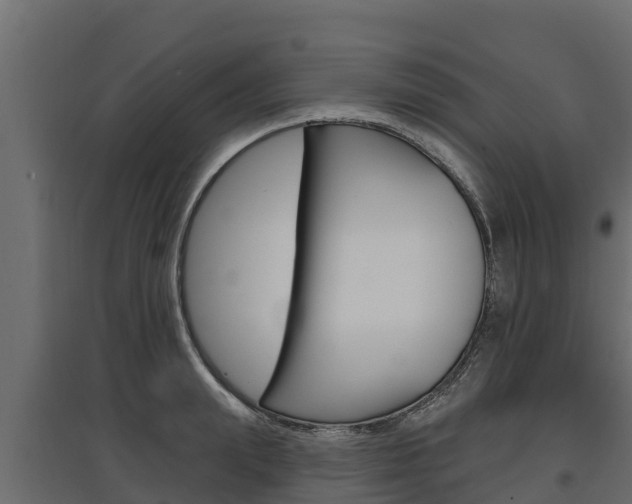 X0000097770847200803070859