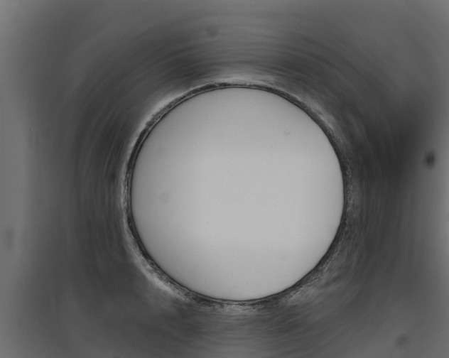 X0000097770848200803070859