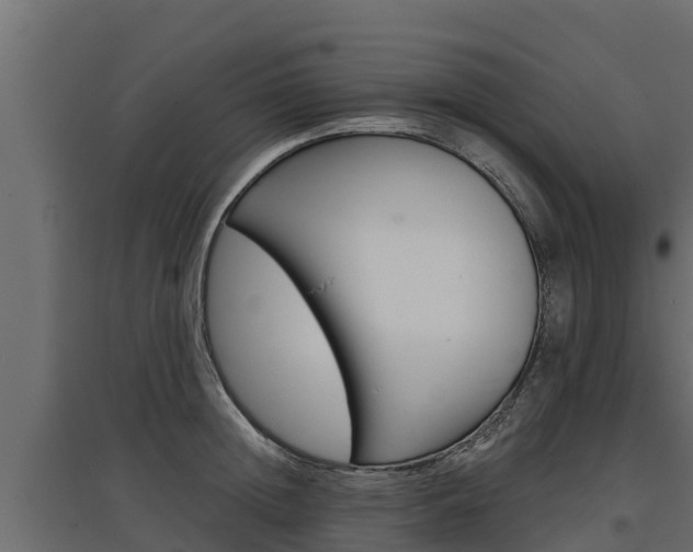 X0000097770852200803070859