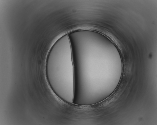 X0000097770853200803070859