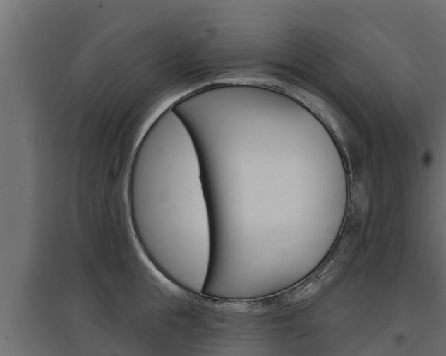 X0000097770855200803070859