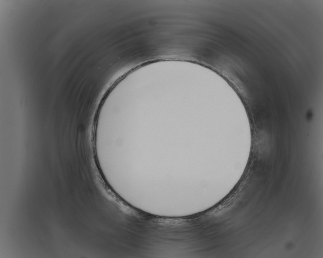 X0000097770856200803070859