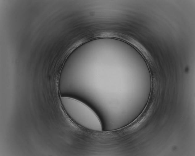 X0000097770857200803070859