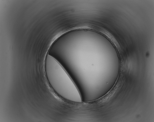 X0000097770858200803070859
