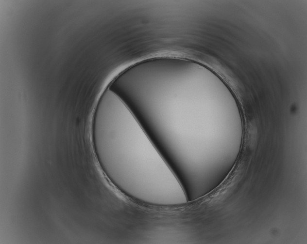 X0000097770862200803070859