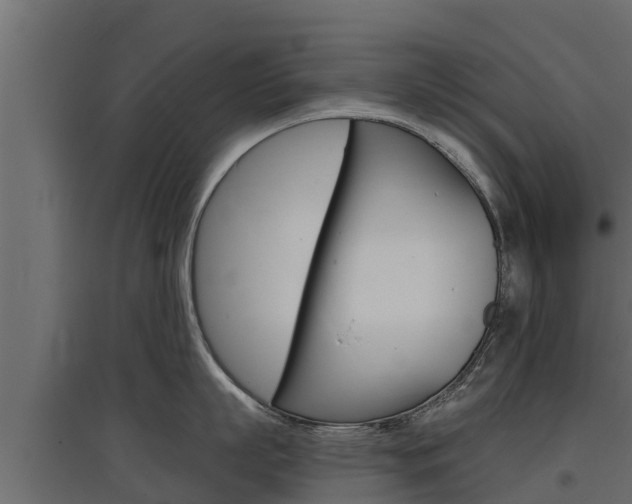 X0000097770863200803070859