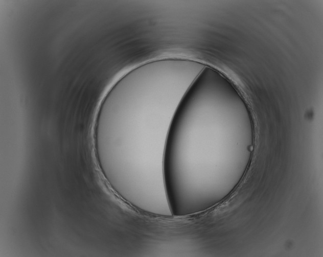 X0000097770864200803070859
