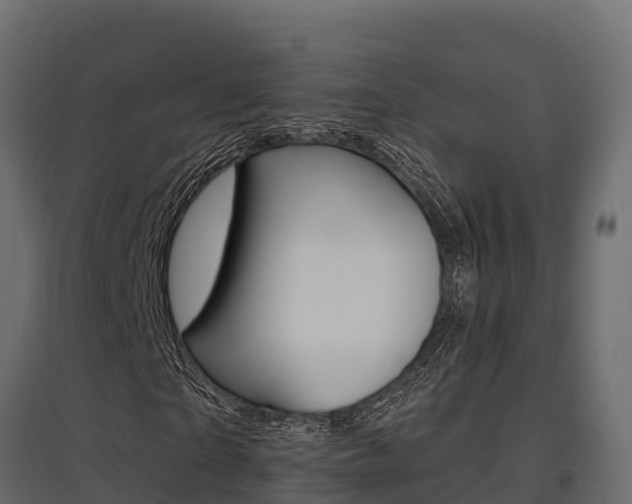 X0000097770865200803070858