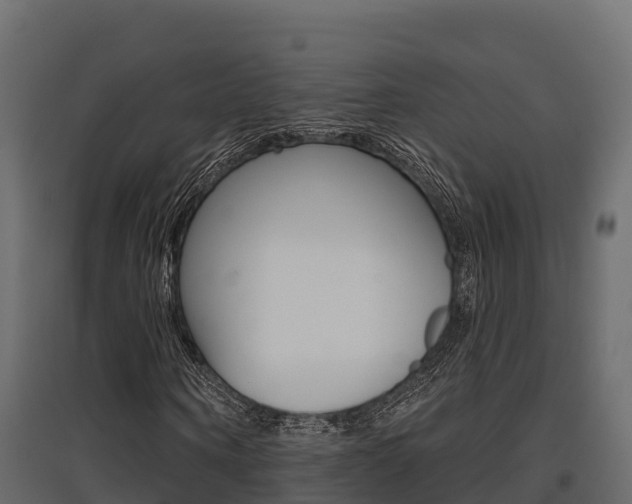 X0000097770866200803070858