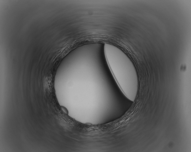 X0000097770867200803070858
