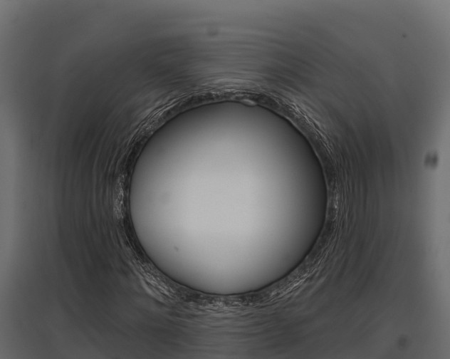 X0000097770868200803070858