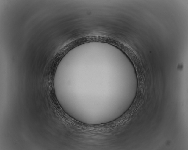 X0000097770870200803070858