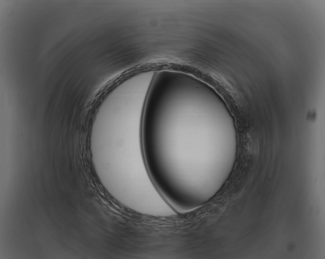 X0000097770872200803070858