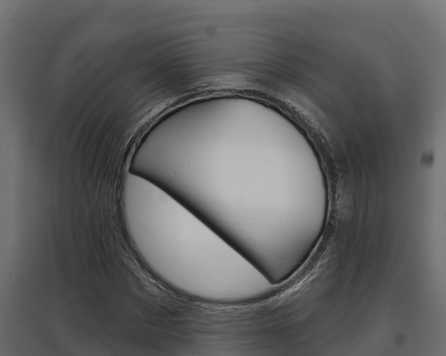 X0000097770873200803070858