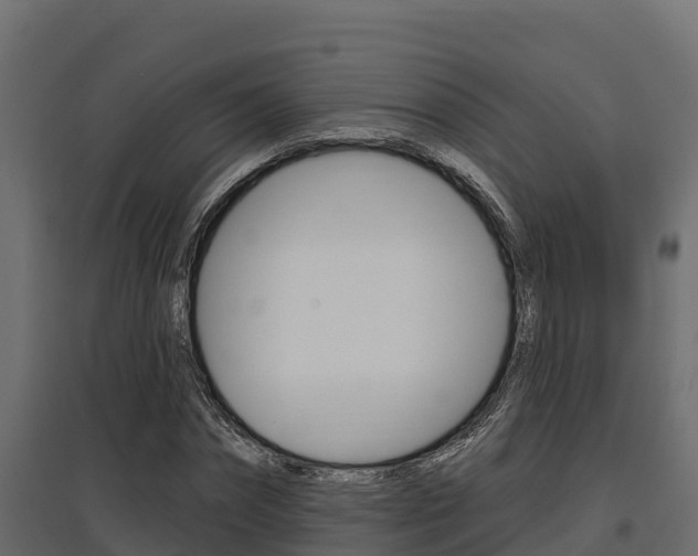 X0000097770874200803070858
