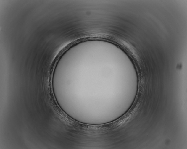 X0000097770875200803070858