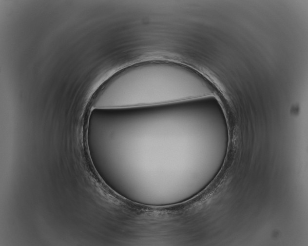 X0000097770877200803070858