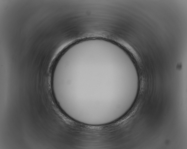 X0000097770878200803070858