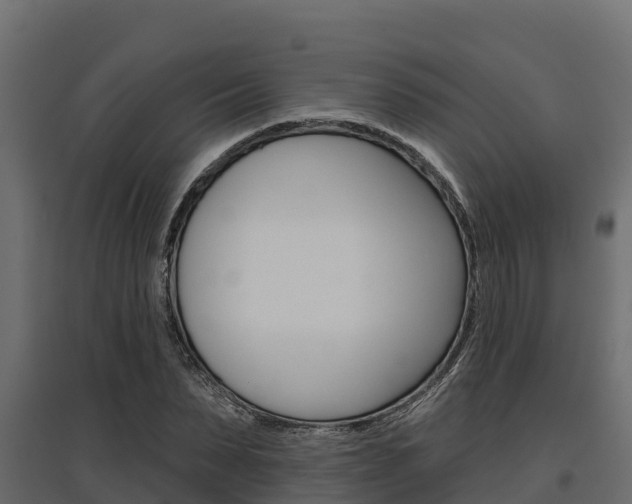 X0000097770879200803070858