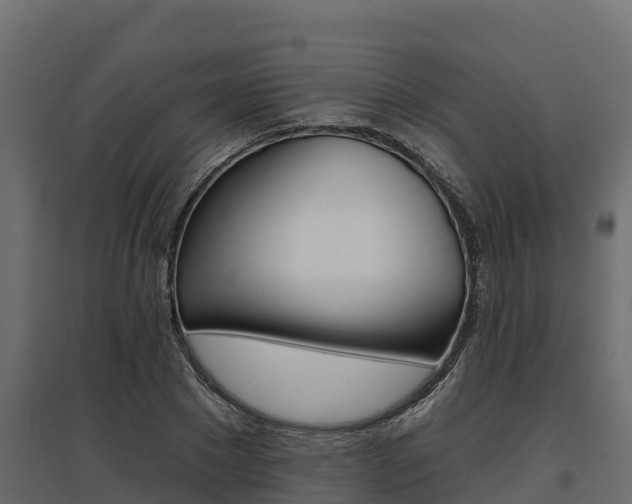 X0000097770881200803070858