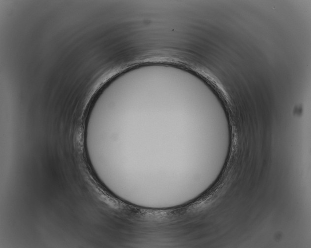 X0000097770882200803070858