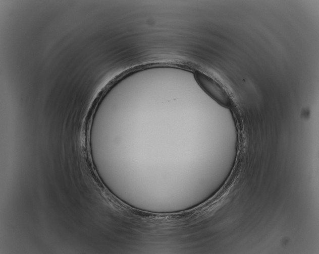 X0000097770883200803070858