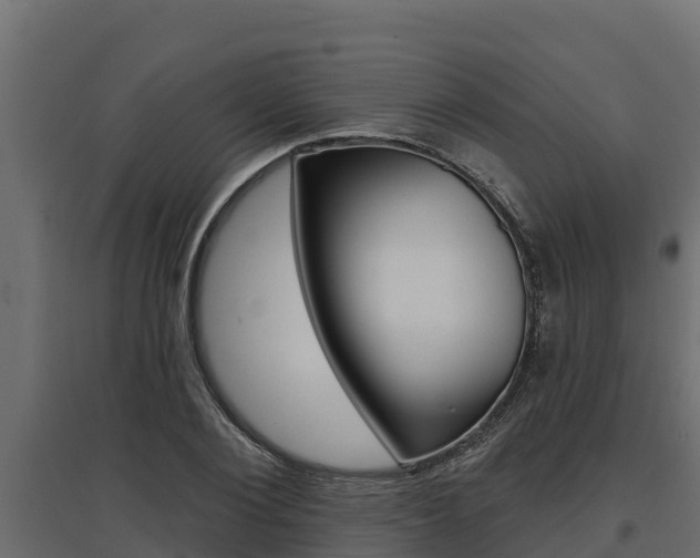 X0000097770884200803070858