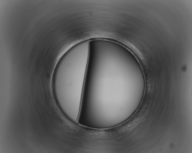 X0000097770885200803070858