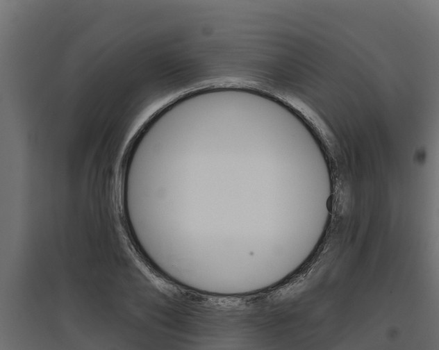 X0000097770886200803070858