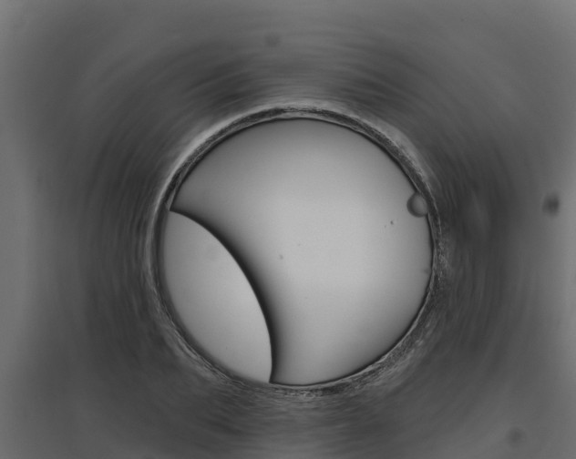 X0000097770887200803070858