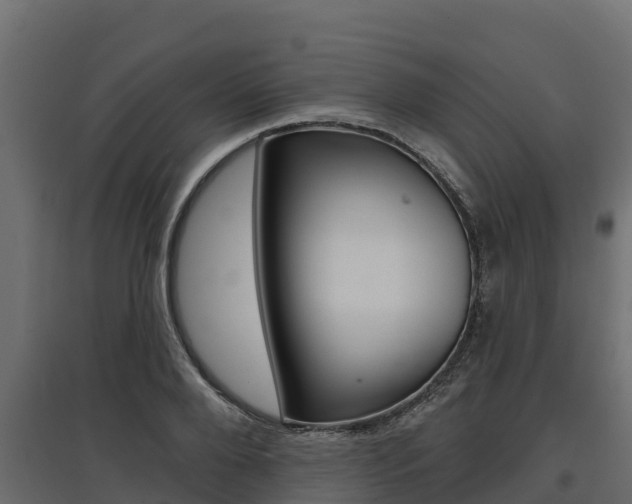 X0000097770888200803070858