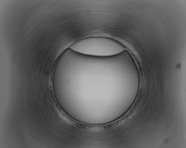 X0000097770889200803070858