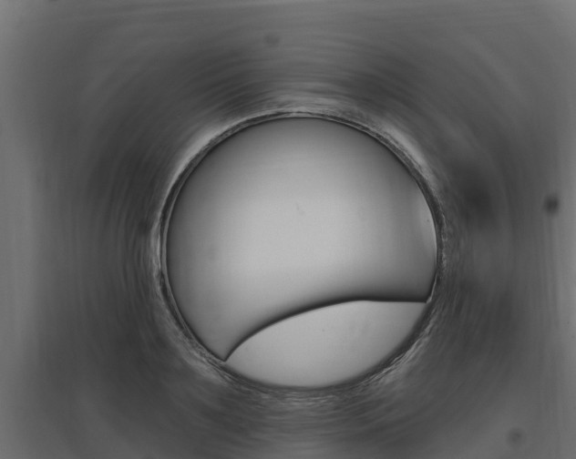 X0000097770891200803070858