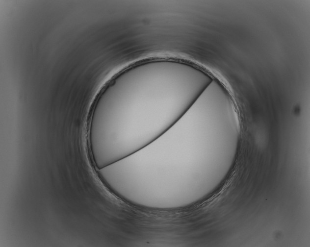X0000097770895200803070858