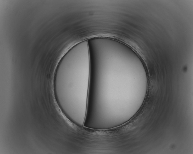 X0000097770898200803070858