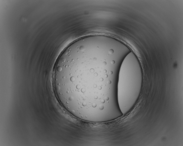 X0000097770899200803070858