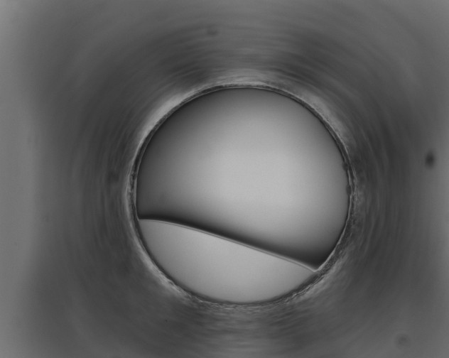 X0000097770901200803070858