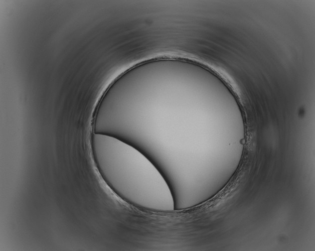 X0000097770903200803070858
