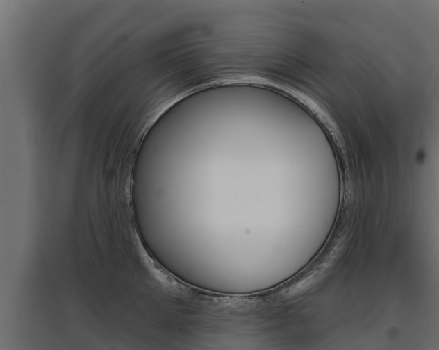 X0000097770905200803070858