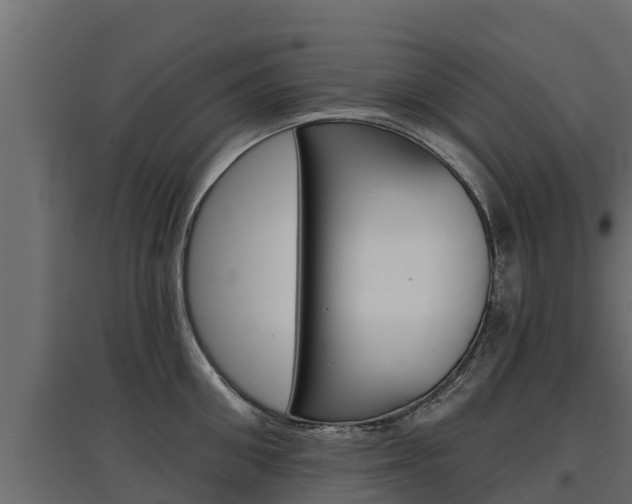 X0000097770906200803070858